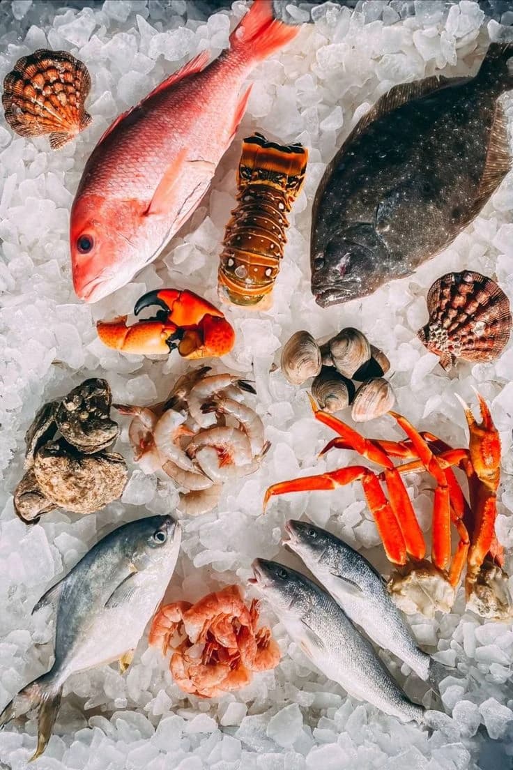 Frozen Fish and Seafood Supply